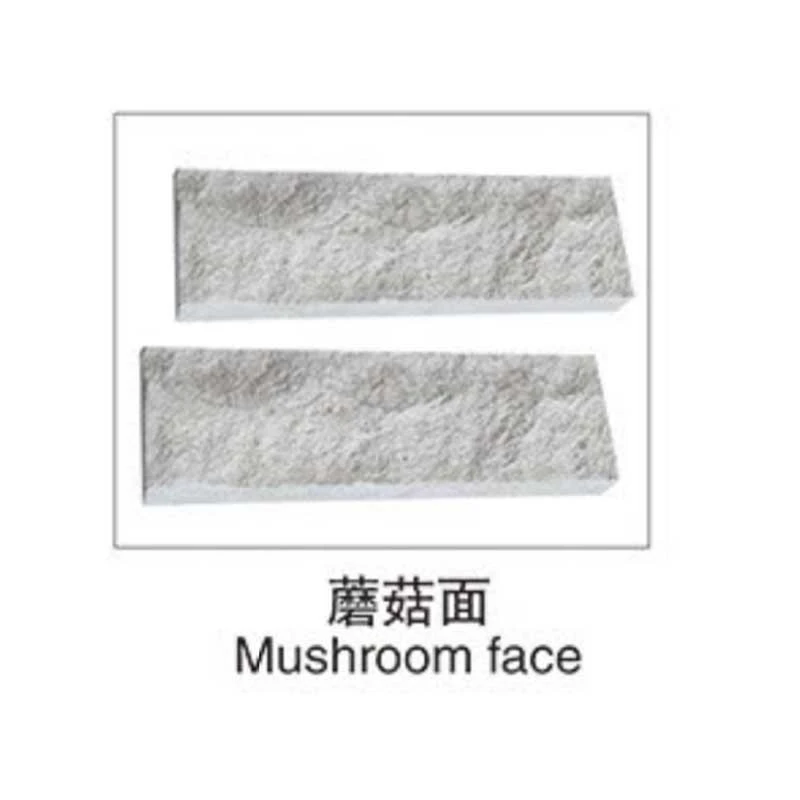 Paving Stone Cutter best